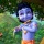 O Pequeno Krishna